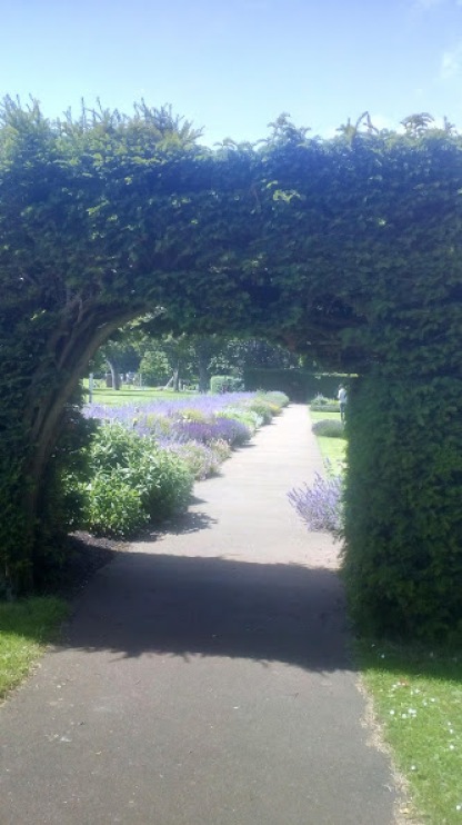 North Lodge Lavender Garden